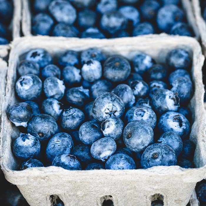 How Blueberries Can Improve Your Health